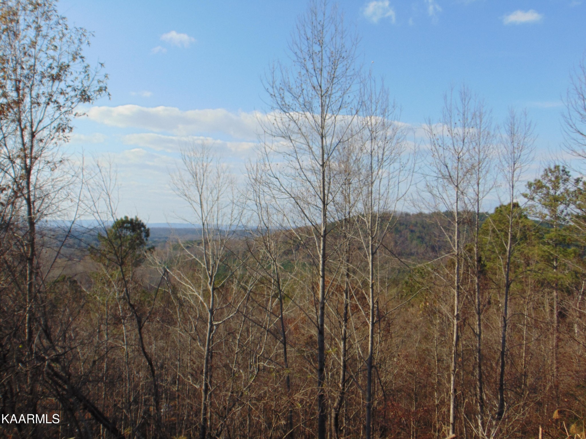 738 Lamontville Road Decatur, TN 37322 - Photo 49 of 60
