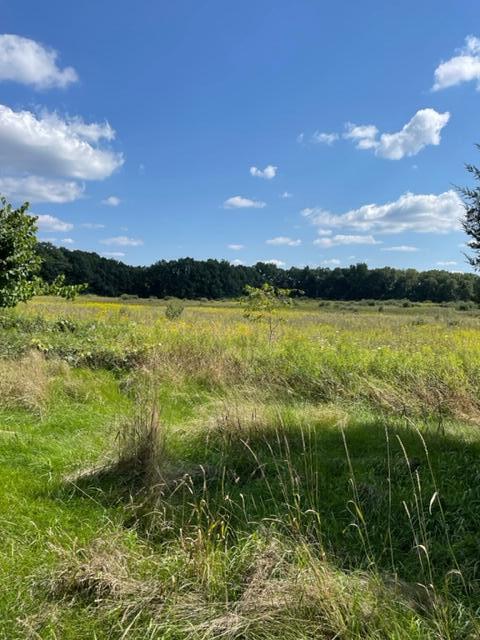 3691 Osborne Road Delton, MI 49046 - Photo 15 of 15 IMG_5167