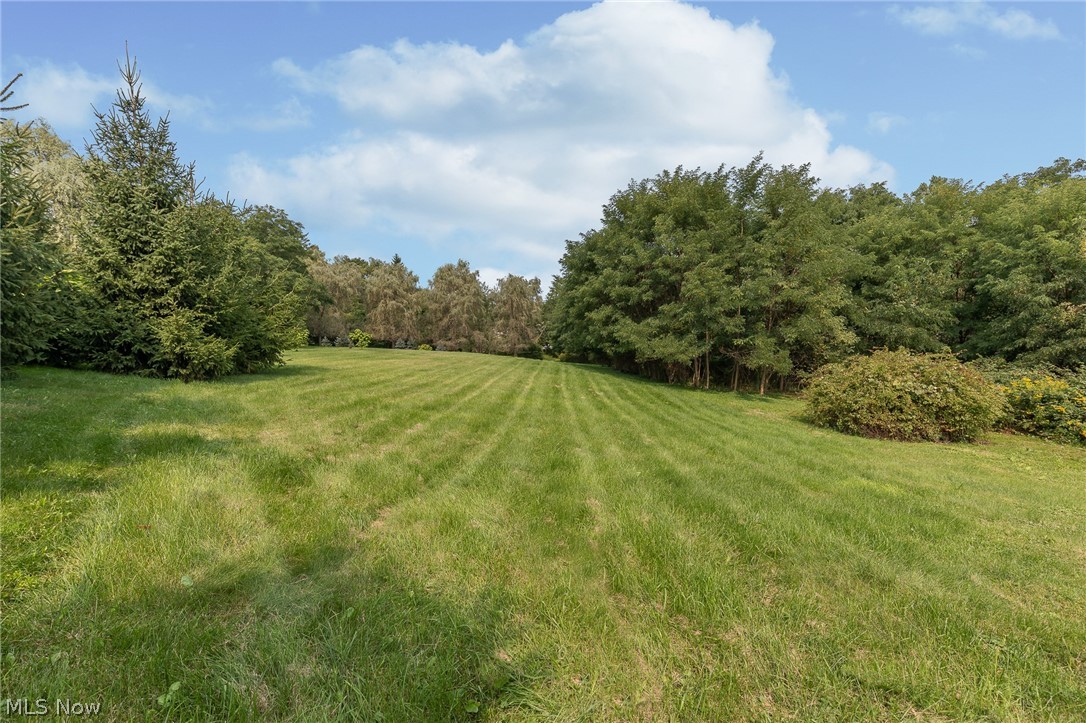 330 Wilson Mills Road Chardon, OH 44024 - Photo 6 of 17