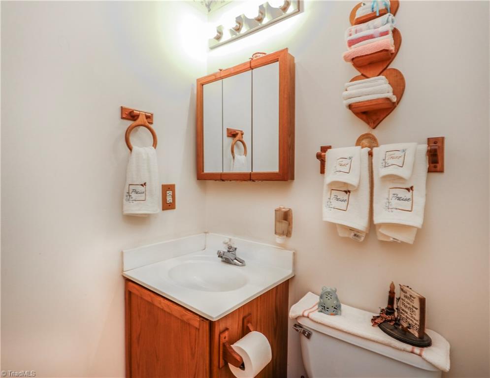 6804 Thurber Road Randleman, NC 27317 - Photo 20 of 26