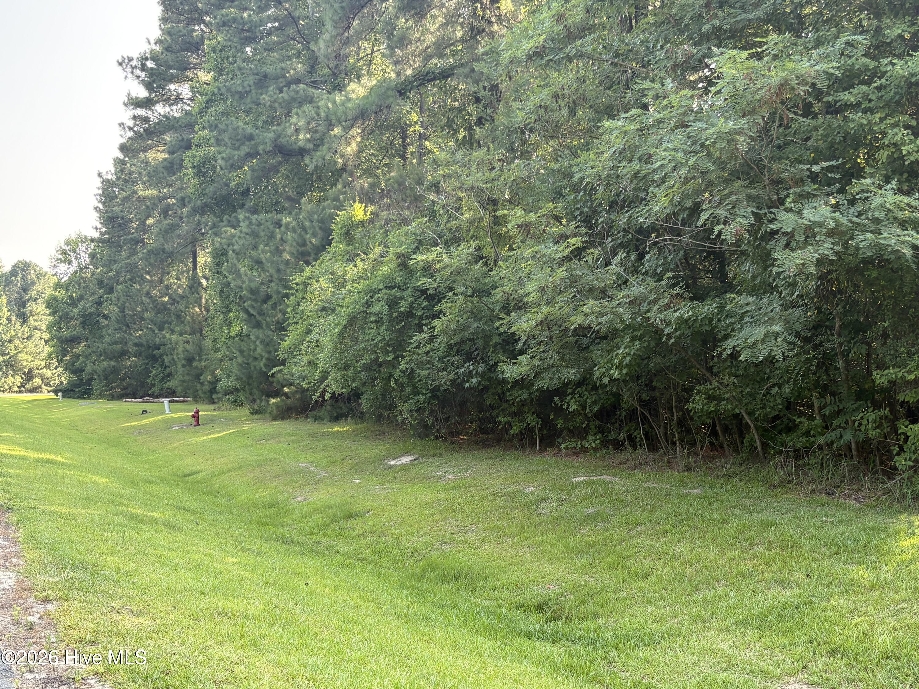 519 Riversound Drive Edenton, NC 27932 - Photo 1 of 8