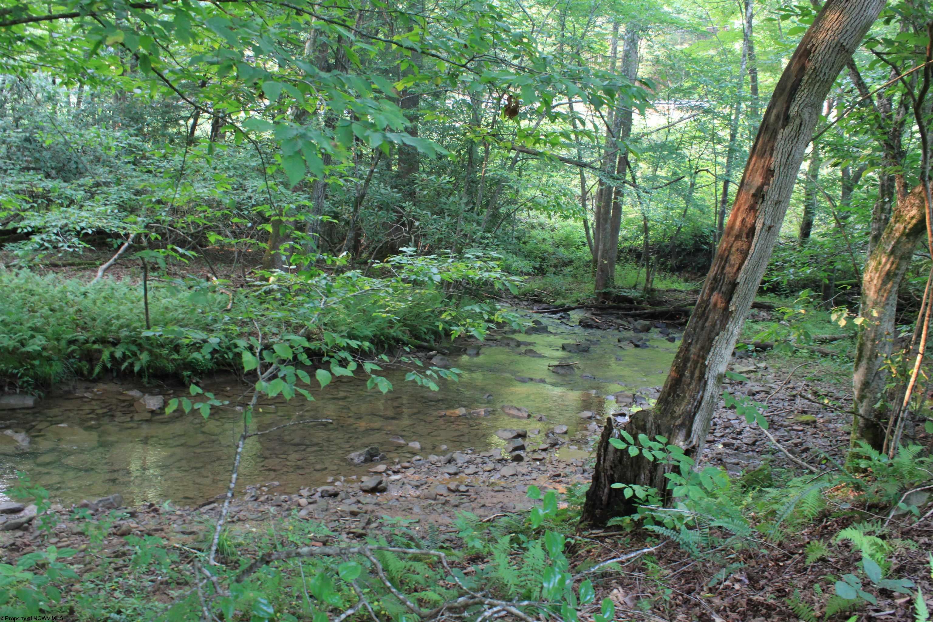2005 Cleveland Road Hacker Valley, WV 26222 - Photo 16 of 45 Gallery Image 16