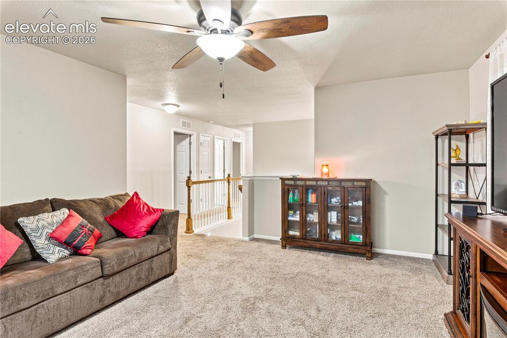 9761 Terrain Road Fountain, CO 80817 - Photo 10 of 31 Loft currently used as a second family room