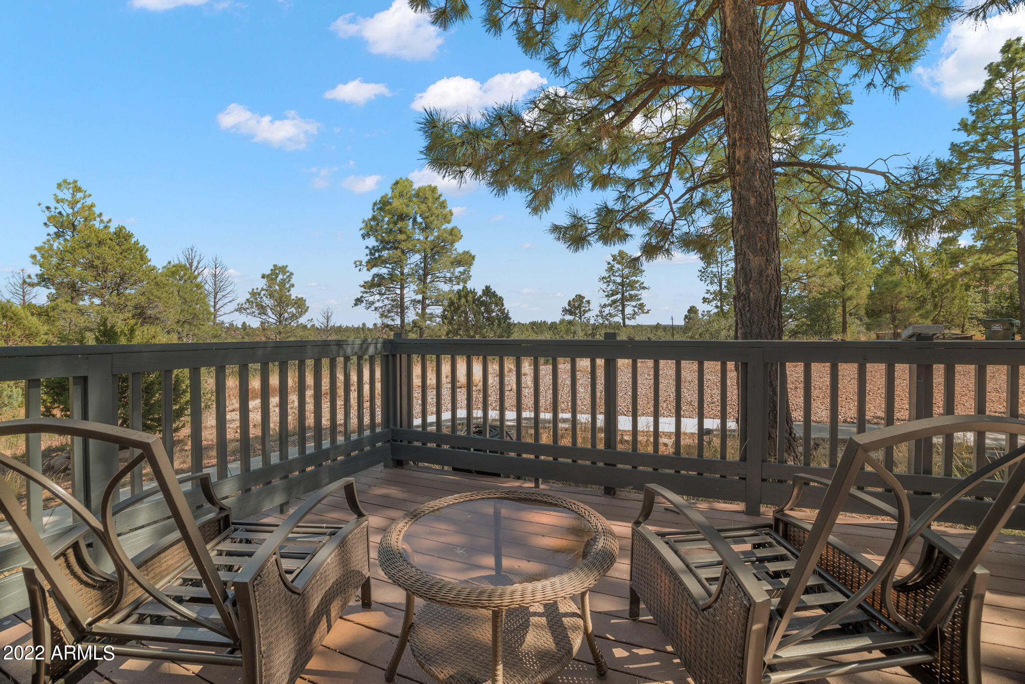 2904 Cedar Ridge Drive Overgaard, AZ 85933 - Photo 7 of 33 2904CedarRidgeCircle-GAngeleri-3