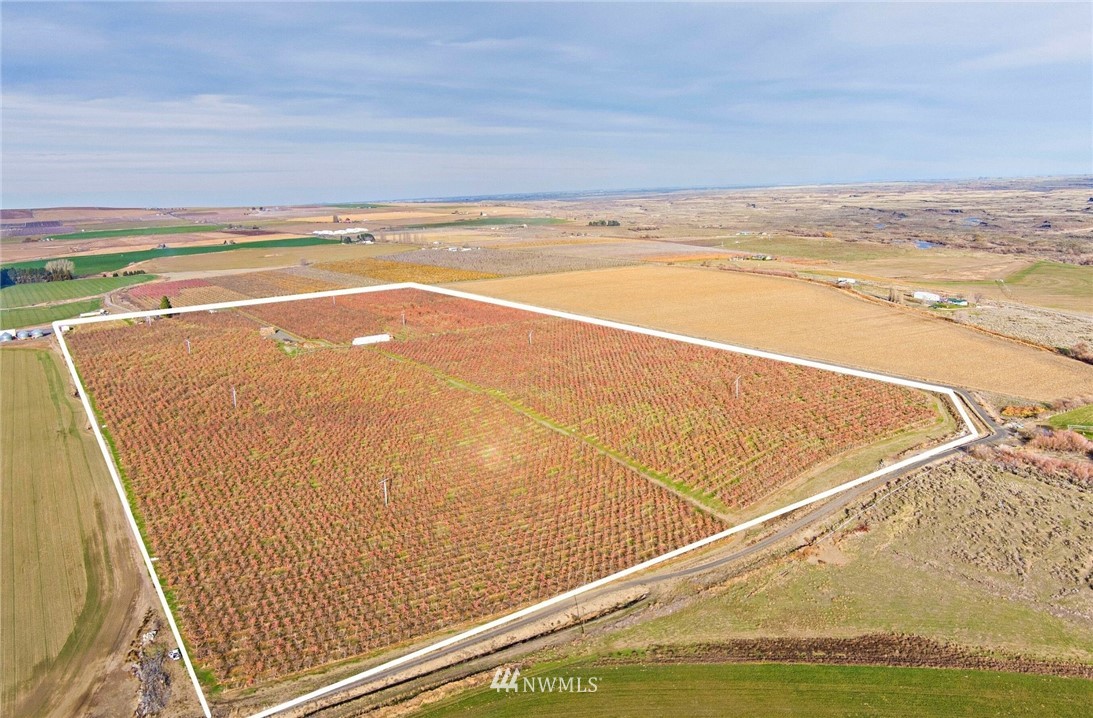 2845 West Phillips Road Othello, WA 99344 - Photo 3 of 16 Gallery Image 3