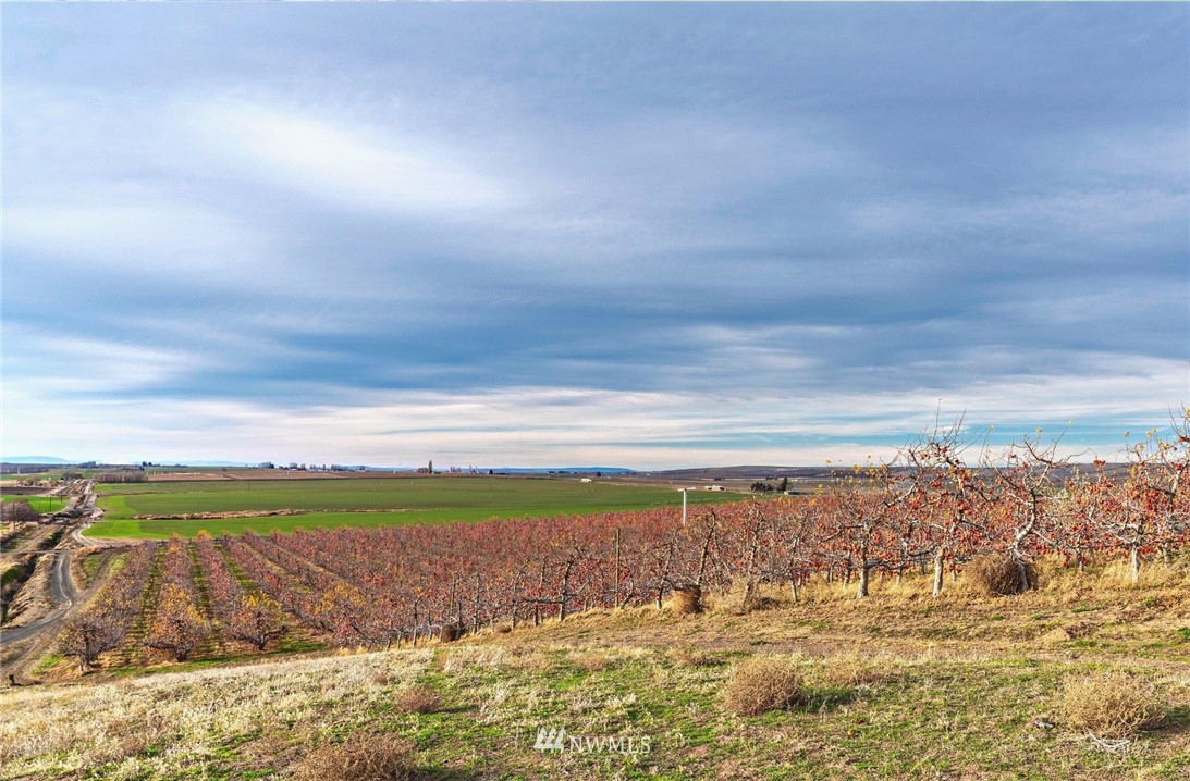 2845 West Phillips Road Othello, WA 99344 - Photo 10 of 16 Gallery Image 10