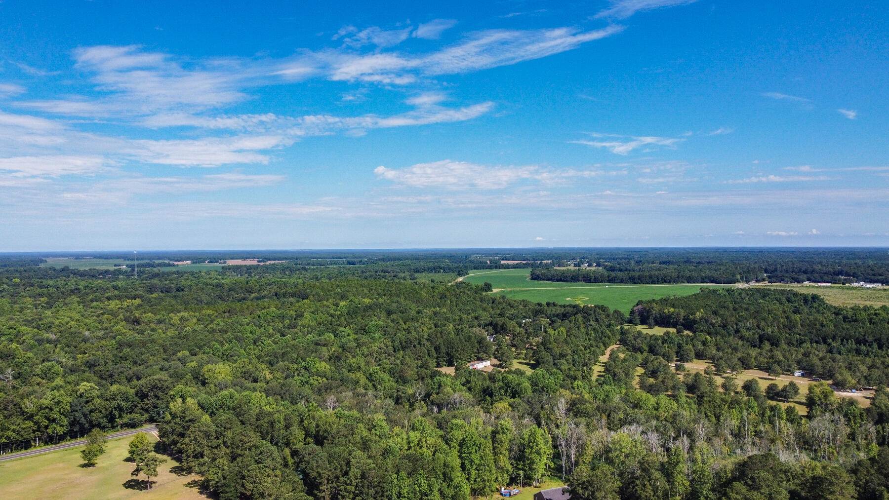 148 County Rd O C - 3380 Elloree, SC 29047 - Photo 54 of 72 DJI_0004final