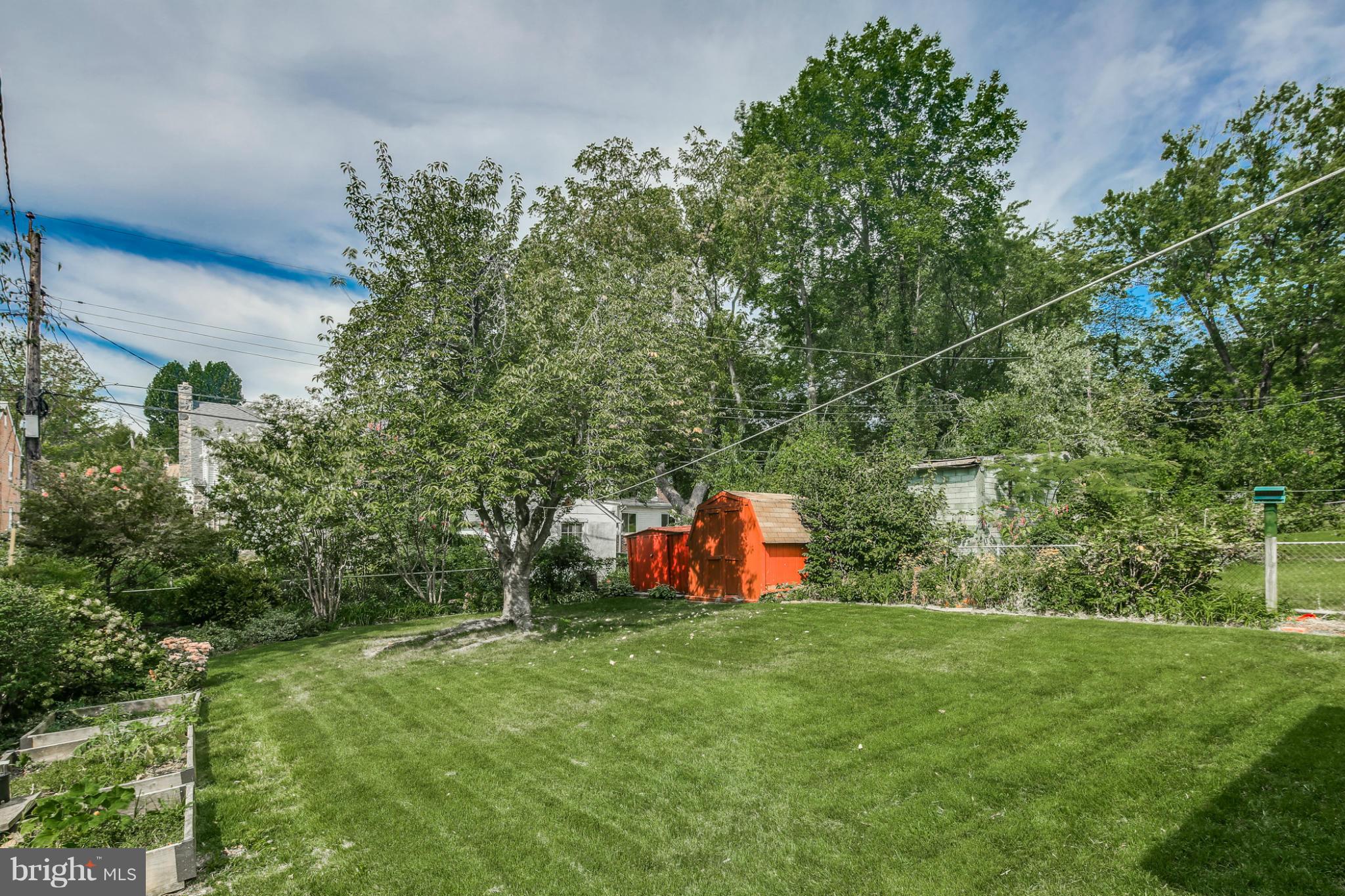 706 Dorchester Road Baltimore, MD 21229 - Photo 23 of 25 Back yard from home