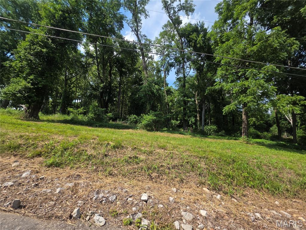 Xxx Briar Hill Road Belleville, IL 62223 - Photo 7 of 8