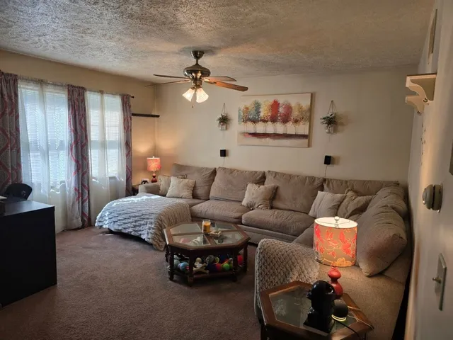 a living room with closet and a fireplace