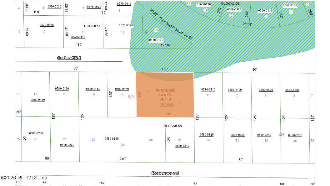 519 Carteret Road Georgetown, FL 32139 - Photo 3 of 4 a picture of a park