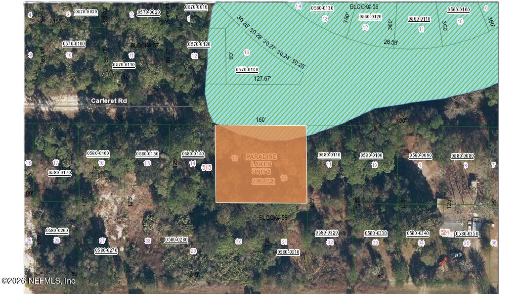 519 Carteret Road Georgetown, FL 32139 - Photo 4 of 4 a green field with trees in front of it