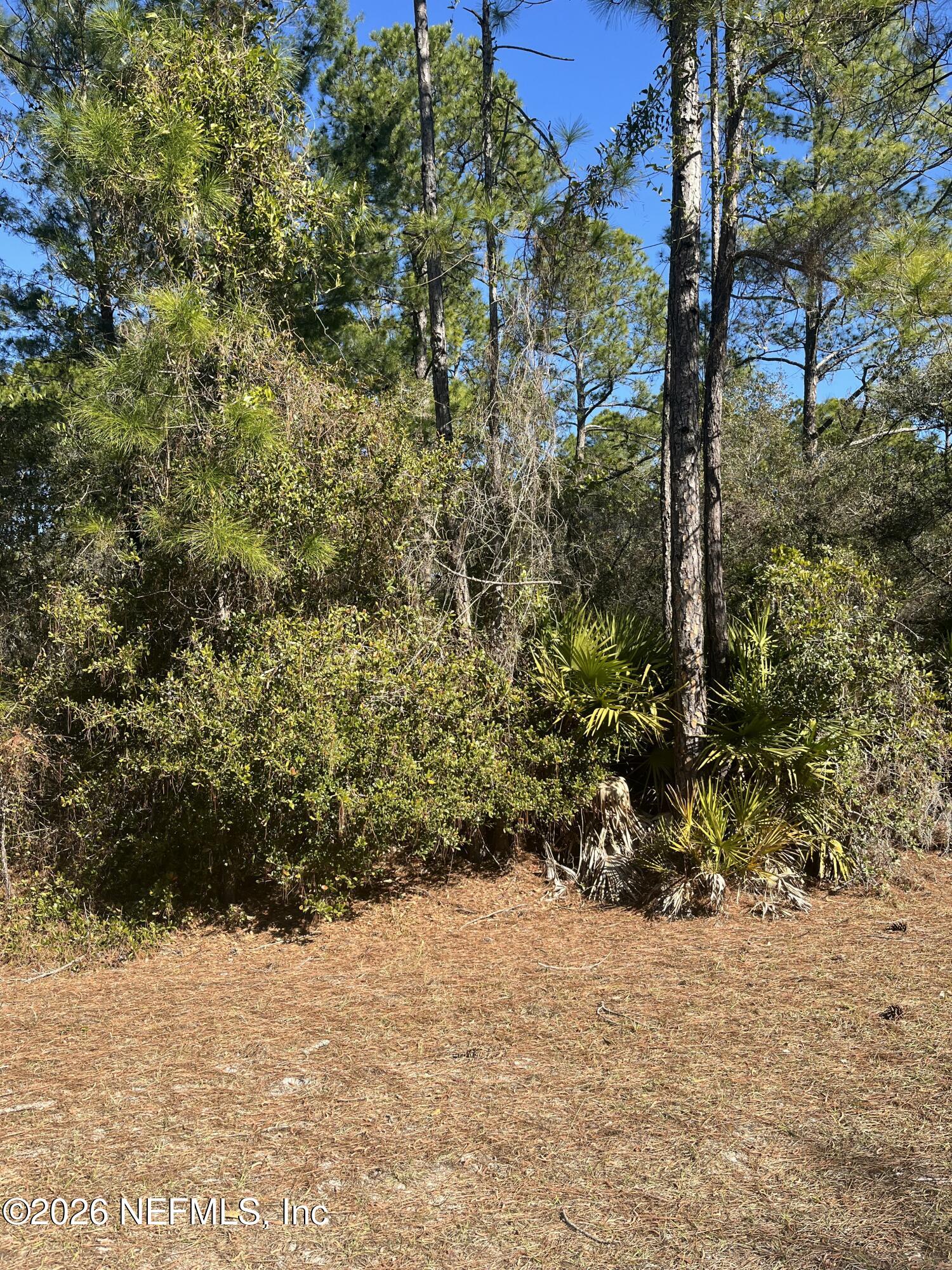 519 Carteret Road Georgetown, FL 32139 - Photo 5 of 6 519 cart