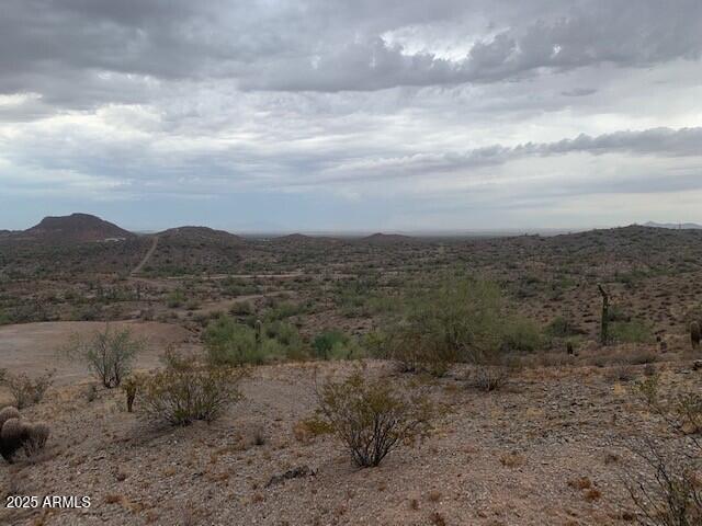 0 North Lot 2 - Royce Road Queen Creek, AZ 85144 - Photo 5 of 7 a view of a dry field with lots of trees in the background