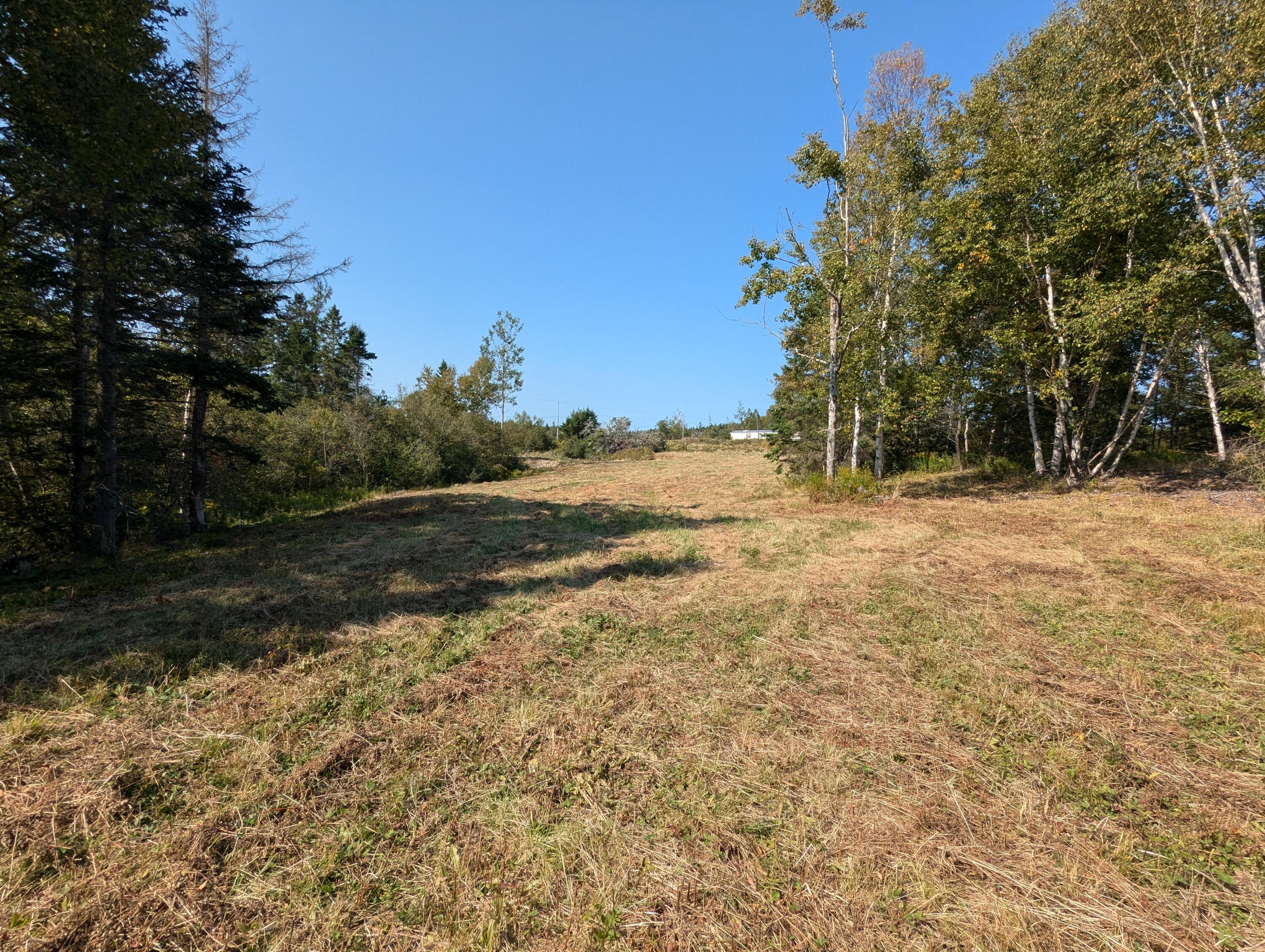 2 3 4 Birch Point Road Perry, ME 04667 - Photo 22 of 34