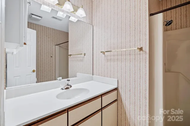 a bathroom with a sink a mirror and shower