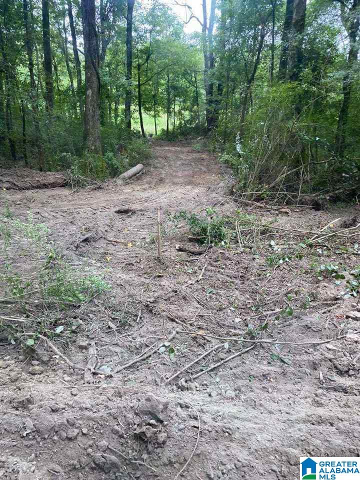 0 Highway 25 Vincent, AL 35178 - Photo 3 of 5