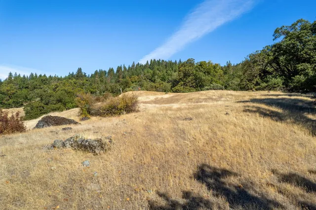 a view of a yard with trees in the background