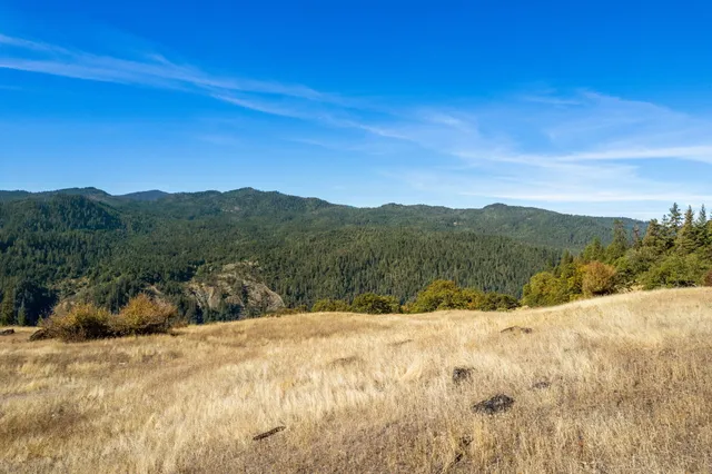 a view of a backyard of a house