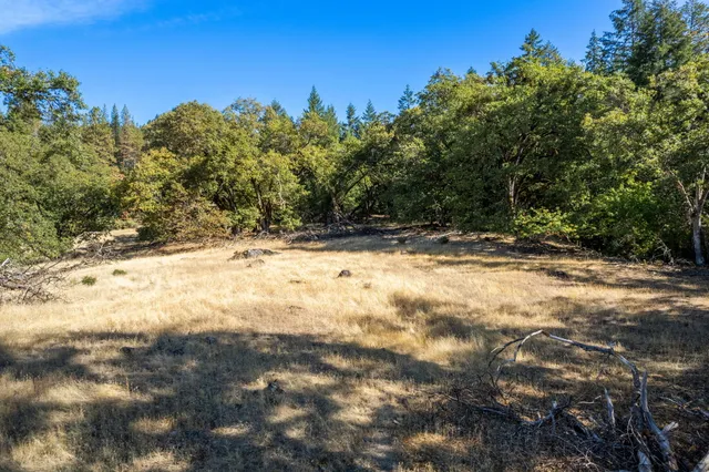 a view of a yard with trees in the background