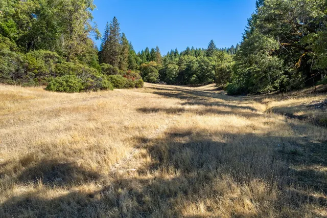 a view of a snow on the road