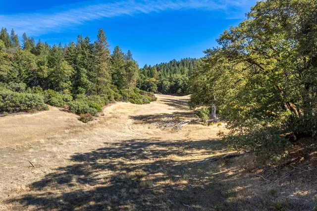 a view of a yard covered with snow in the background
