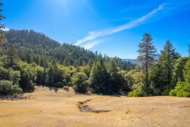 a view of a backyard of a house