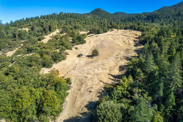 a view of a dry yard with trees