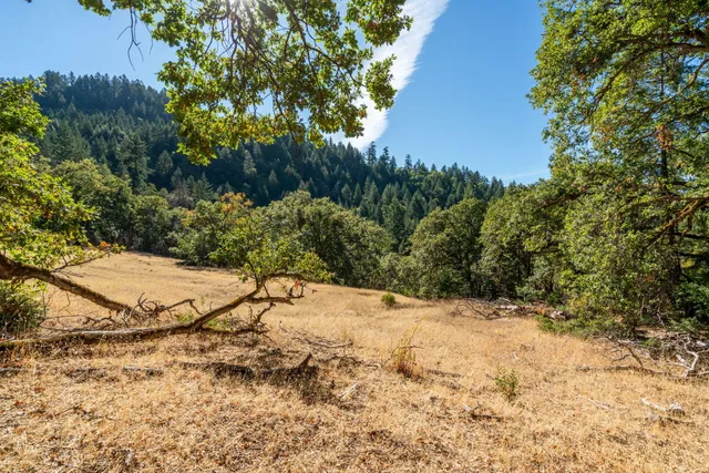 a view of a backyard of a house