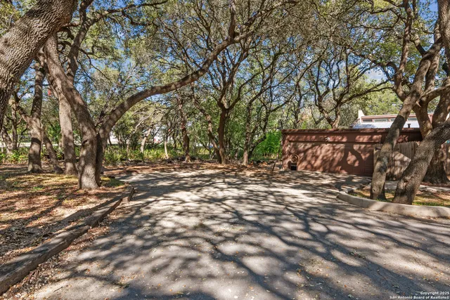 a view of a tree in the middle of a yard