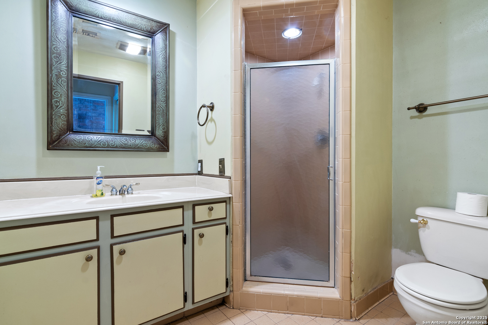 12031 Arms Way Street Live Oak, TX 78233 - Photo 8 of 24 a bathroom with a sink a toilet a mirror and shower