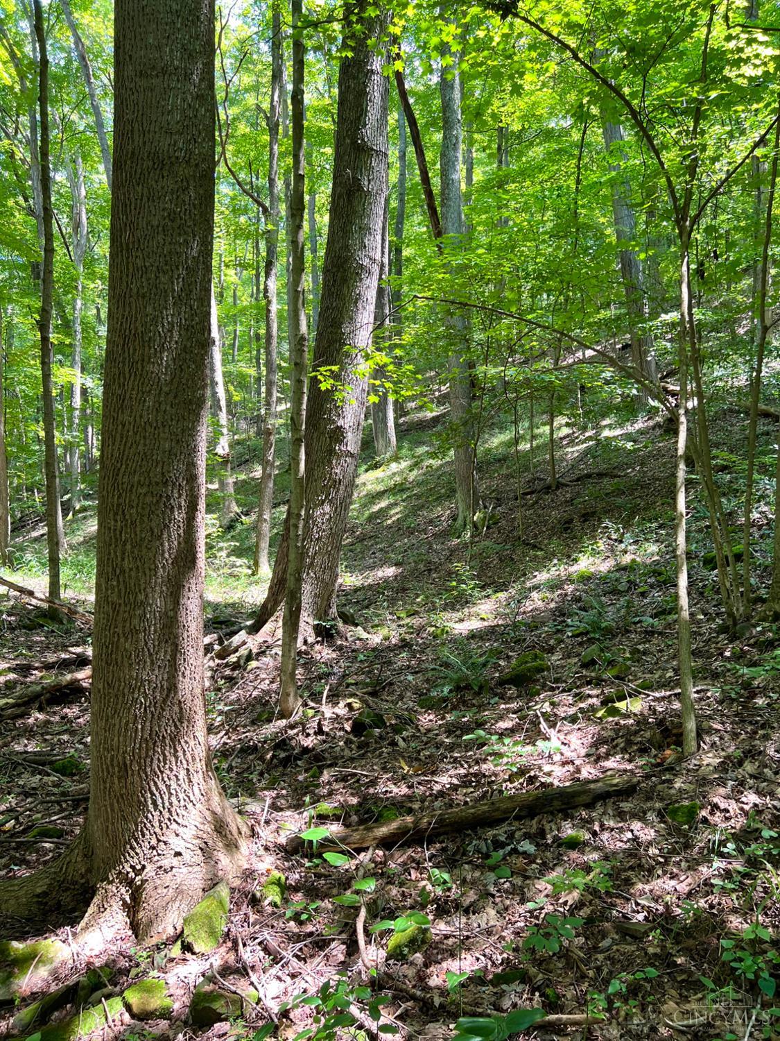 0 South Chenoweth Fork Road Piketon, OH 45661 - Photo 75 of 95