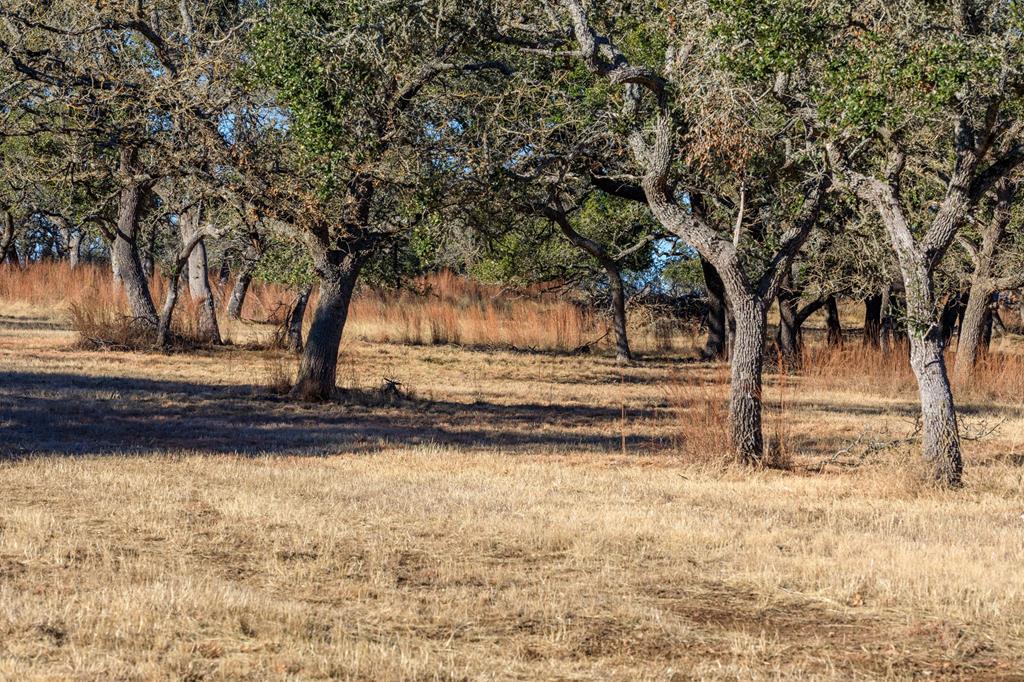 115 Fern Ridge, Unit 46 Comfort, TX 78013 - Photo 1 of 11 Main View