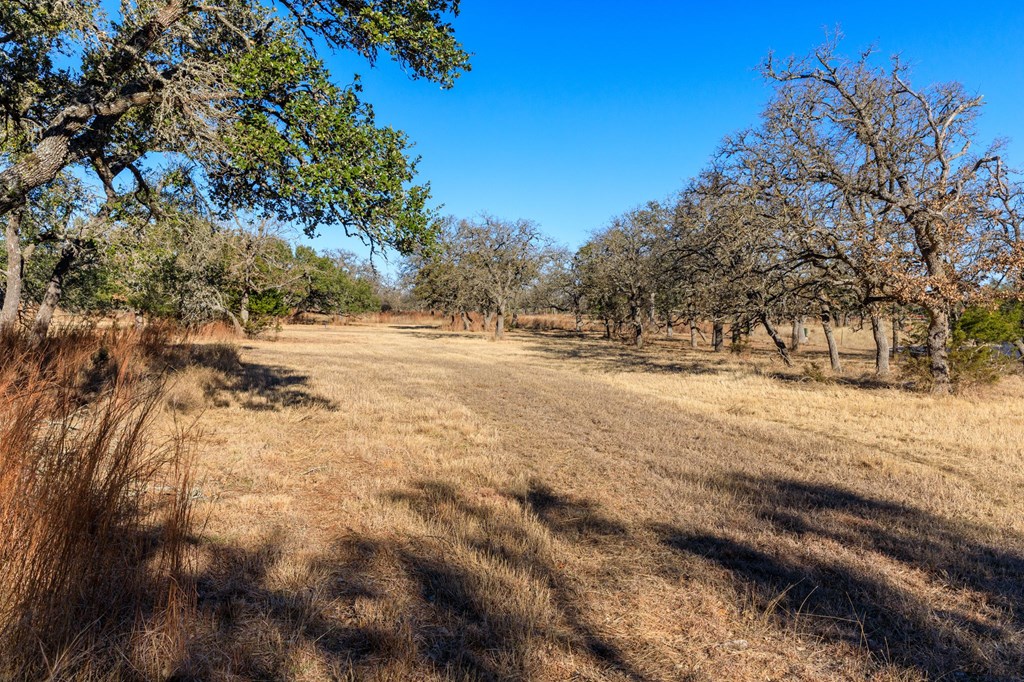 115 Fern Ridge, Unit 46 Comfort, TX 78013 - Photo 2 of 11