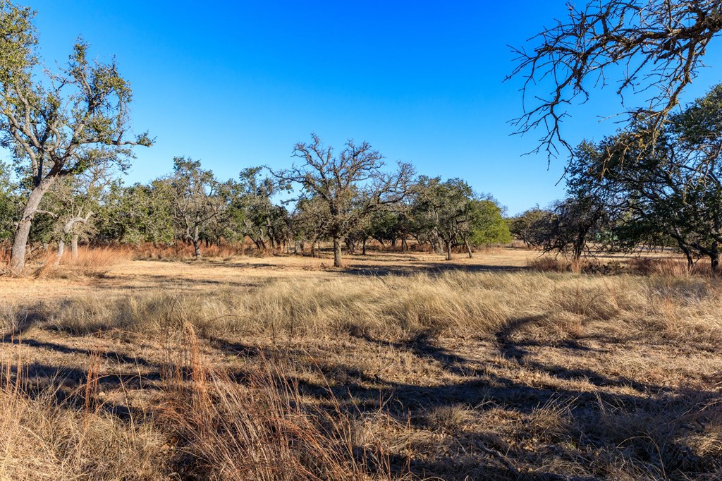 115 Fern Ridge, Unit 46 Comfort, TX 78013 - Photo 5 of 11