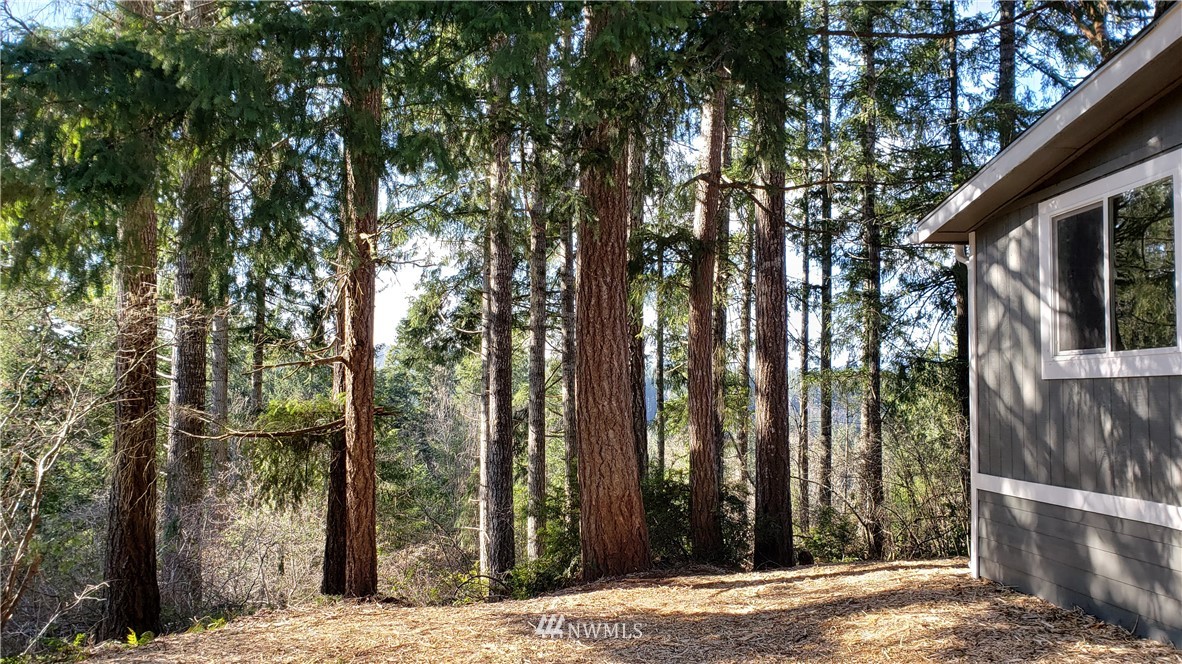 1040 Northeast Larson Boulevard Belfair, WA 98528 - Photo 28 of 31 a view of a street with trees