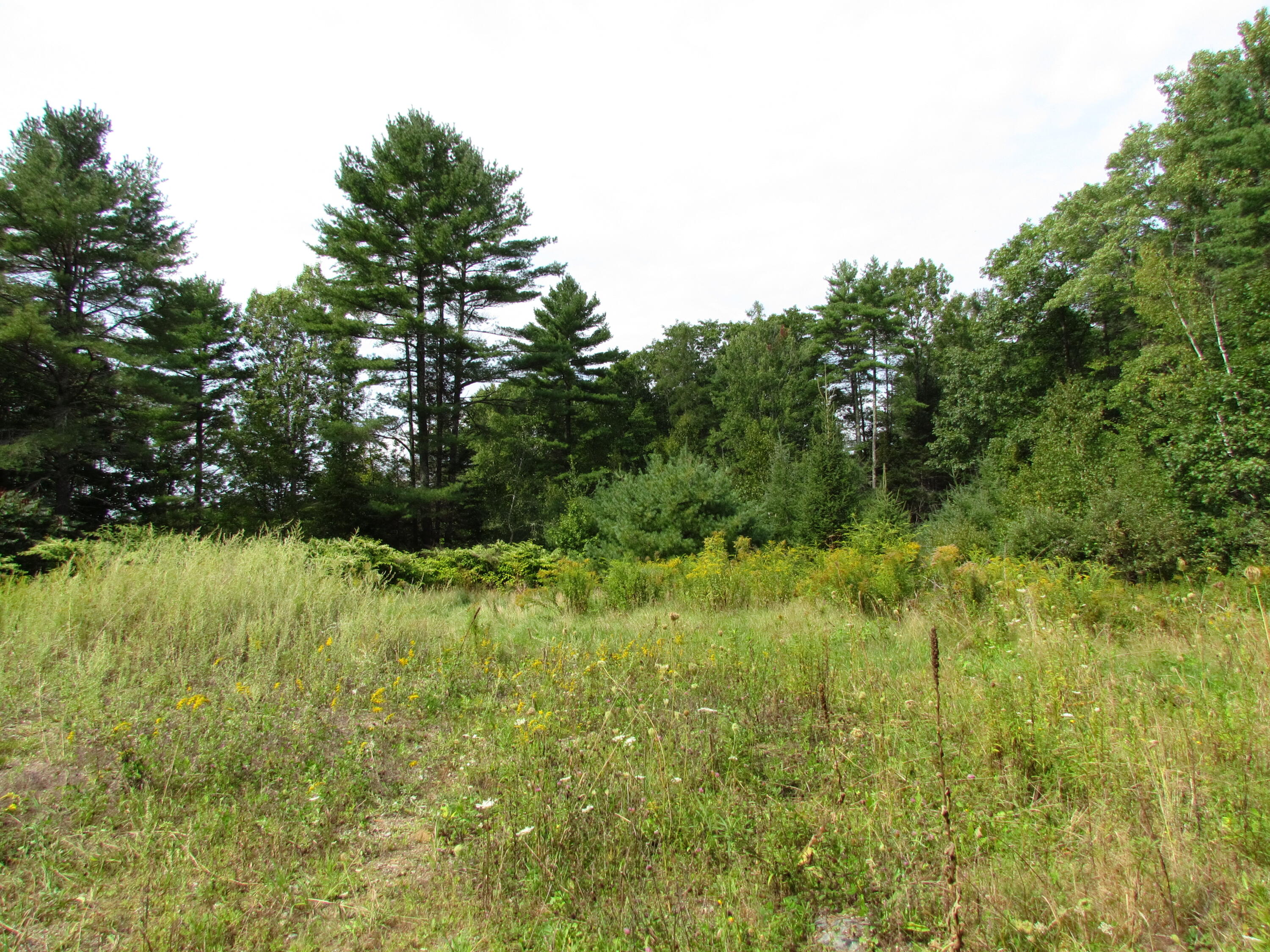 100 Campbell Hill Road Waldoboro, ME 04572 - Photo 11 of 13 Lot 69-A