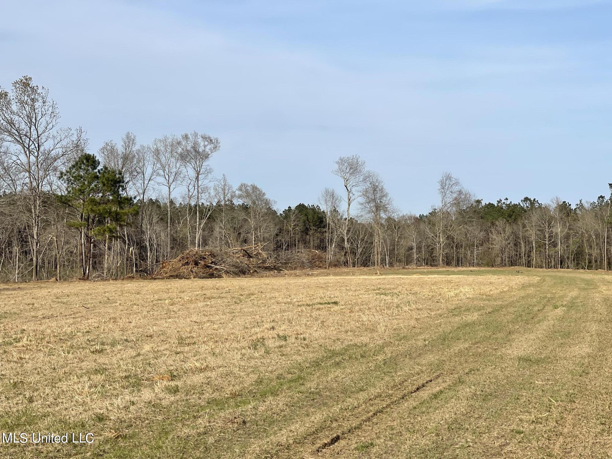 Nub Mcnair Country Road Magee, MS 39111 - Photo 7 of 9 9A374B5D-29AE-43C8-8417-6FCD58F39979