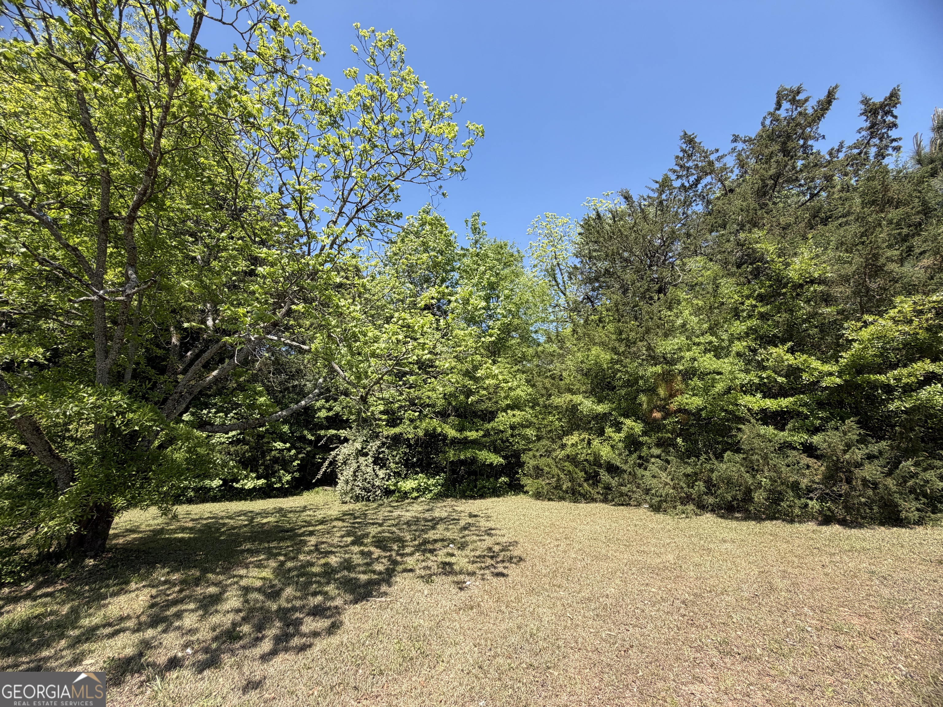 276 Oglesby Bridge Road Southeast Conyers, GA 30094 - Photo 15 of 49 a view of a yard with plants and trees