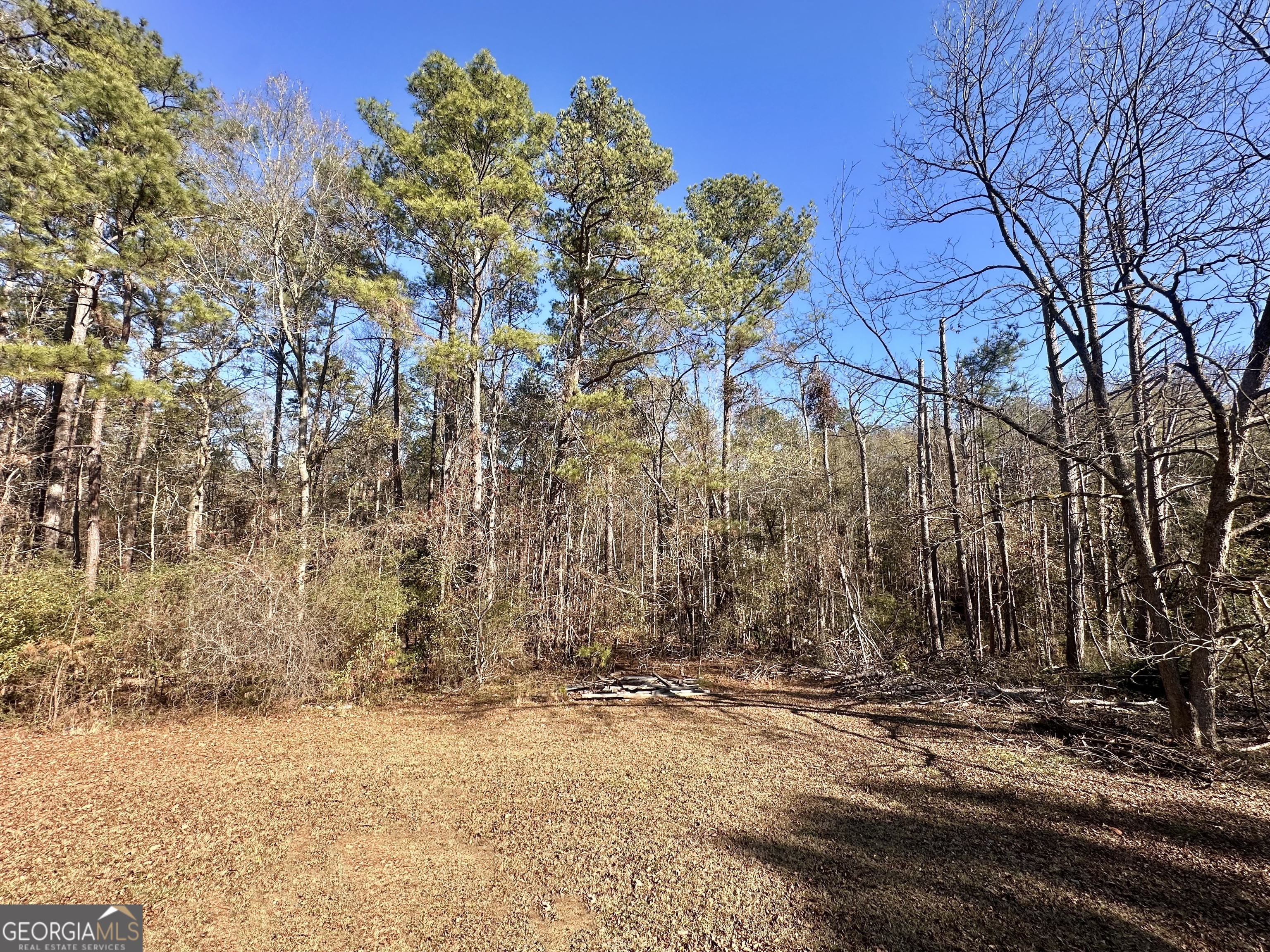 276 Oglesby Bridge Road Southeast Conyers, GA 30094 - Photo 19 of 49 a backyard of a house with lots of green space