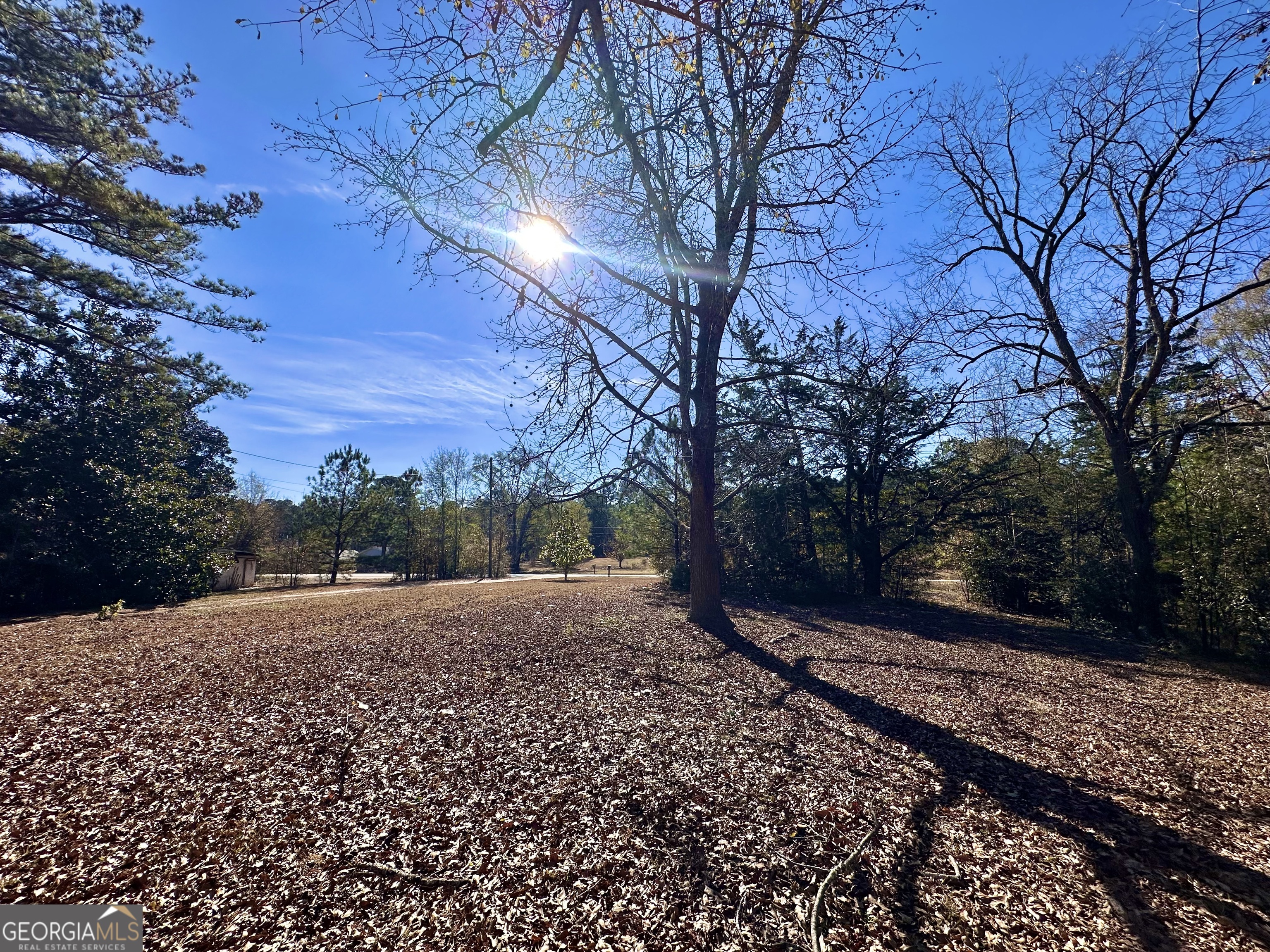 276 Oglesby Bridge Road Southeast Conyers, GA 30094 - Photo 21 of 49 a view of dirt yard with a large tree