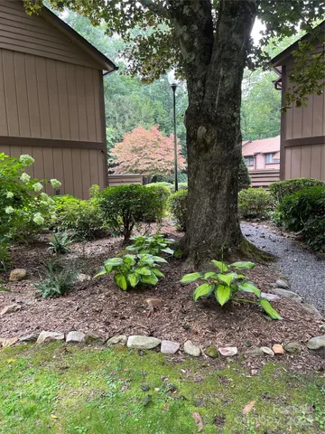 a backyard of a house with lots of green space