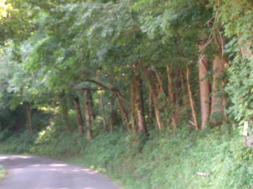 Belltown Road Tellico Plains, TN 37385 - Photo 1 of 7 Primary Photo