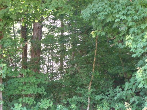 Belltown Road Tellico Plains, TN 37385 - Photo 5 of 7 Additional Photo