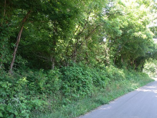 Belltown Road Tellico Plains, TN 37385 - Photo 6 of 7 Additional Photo