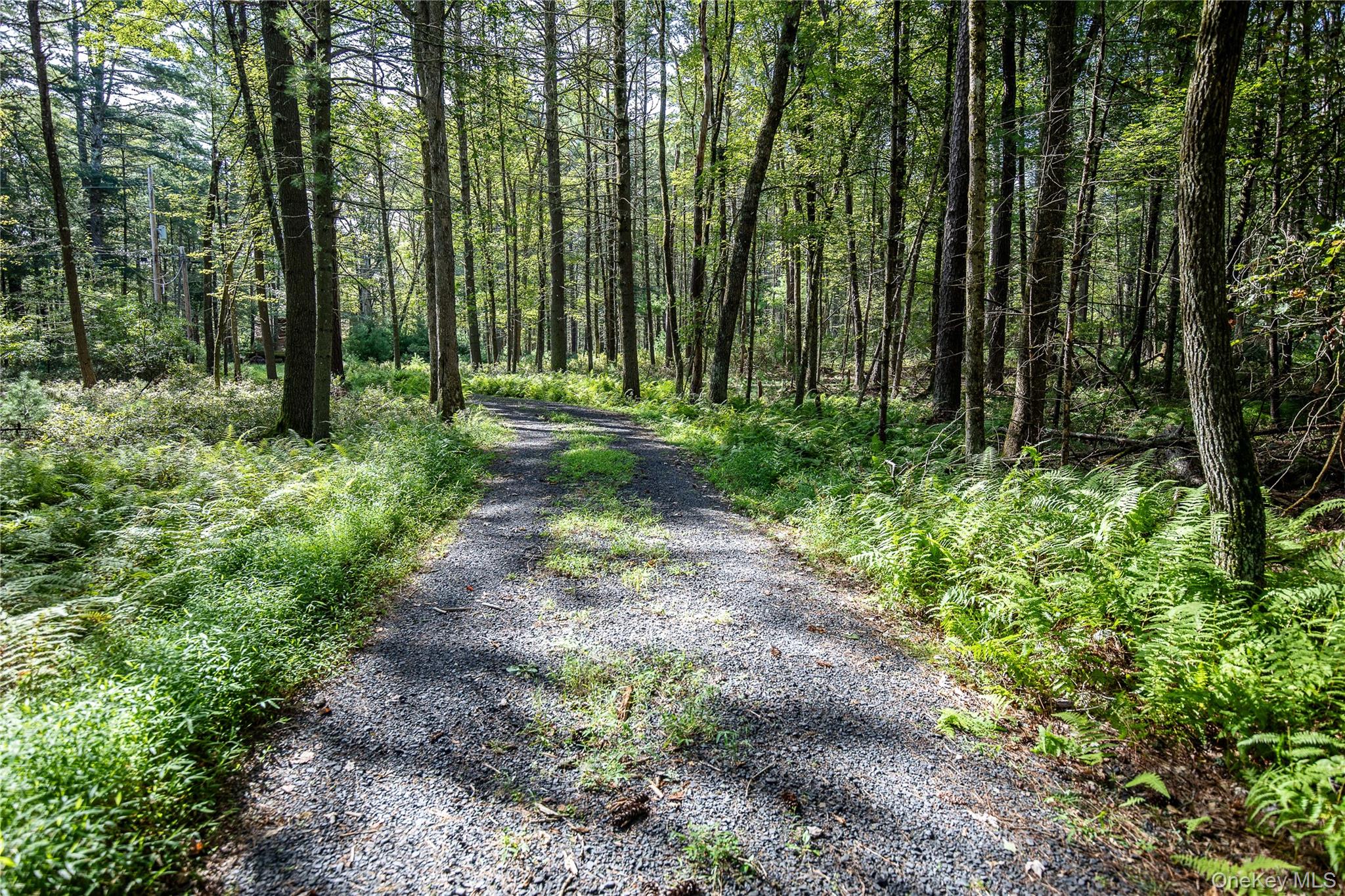30 Woods Road Barryville, NY 12719 - Photo 14 of 26