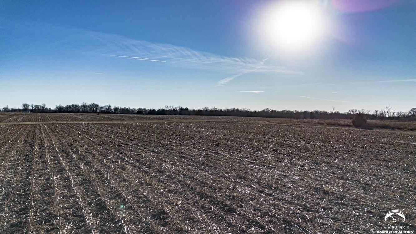 52.63 Acres M/l East 1900th Road Baldwin City, KS 66006 - Photo 31 of 38
