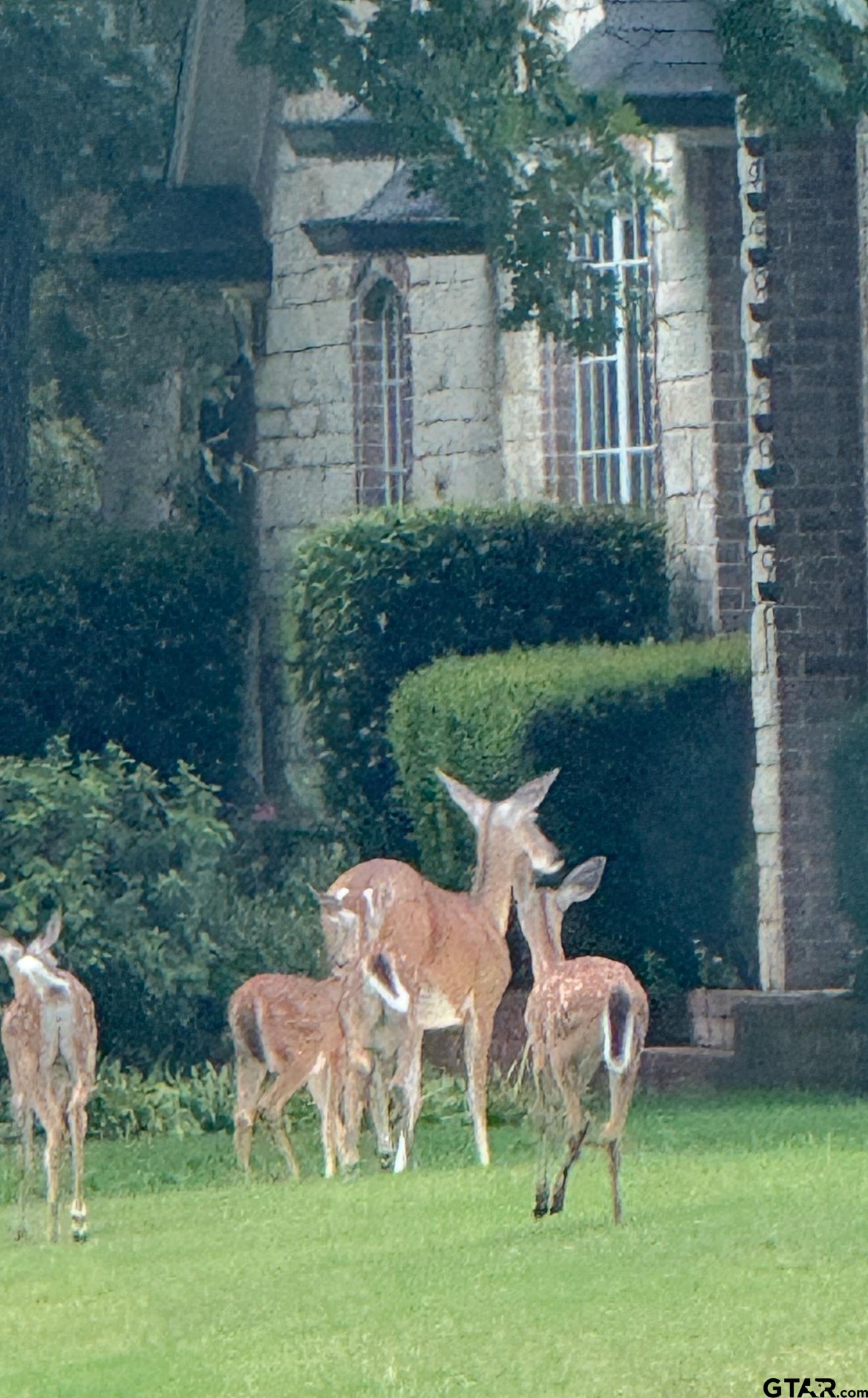 313 Sunset Circle Bullard, TX 75757 - Photo 29 of 48