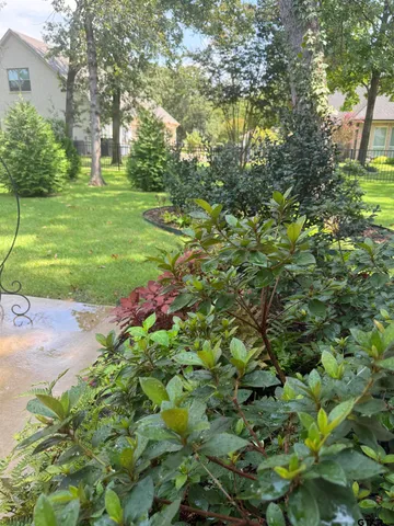 a view of a garden with a tree