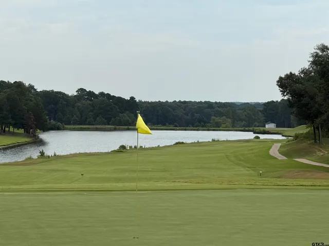 a view of a lake with a large trees